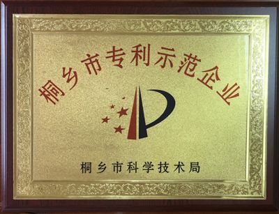 桐鄉(xiāng)市專利示范企業(yè)